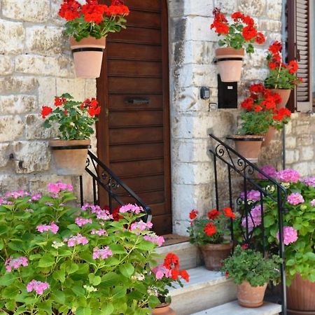 Casa Gentile Apartment Assisi Bagian luar foto