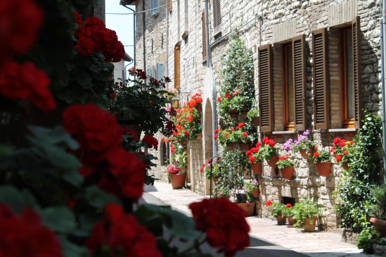 Casa Gentile Apartment Assisi Bagian luar foto