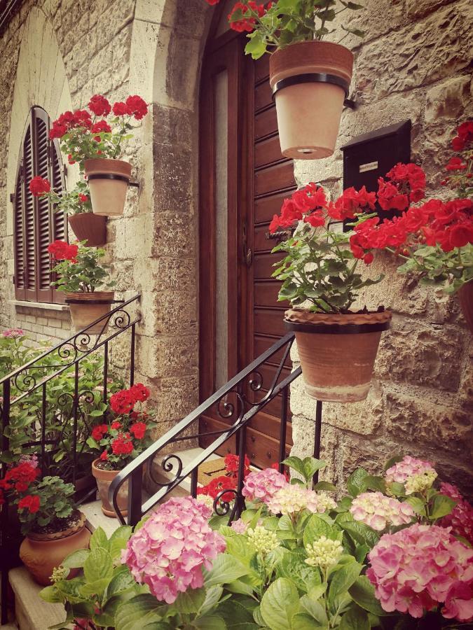 Casa Gentile Apartment Assisi Bagian luar foto