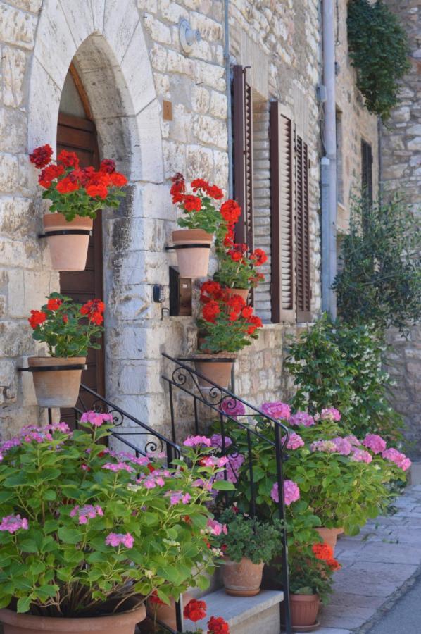 Casa Gentile Apartment Assisi Bagian luar foto