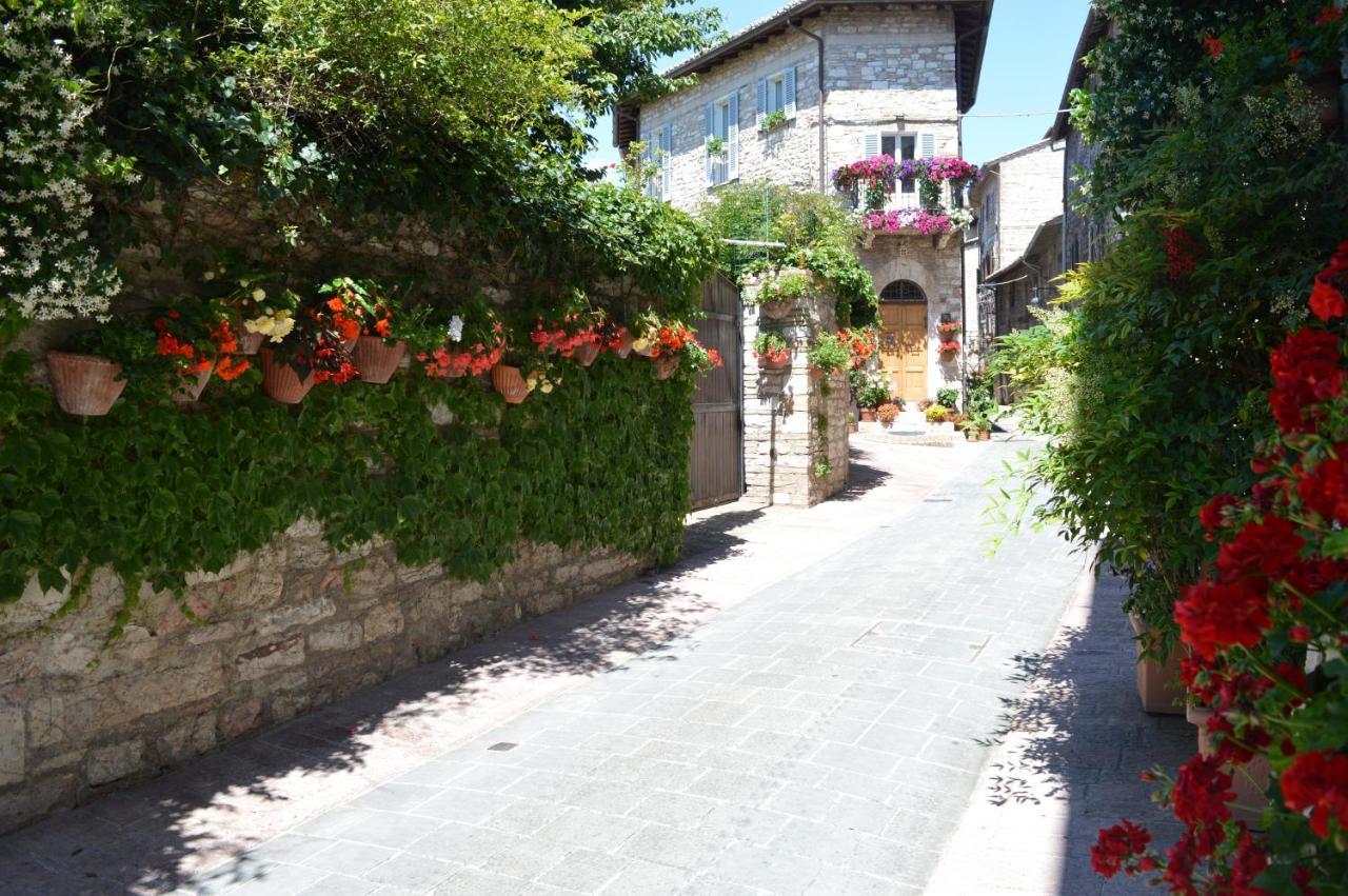 Casa Gentile Apartment Assisi Bagian luar foto