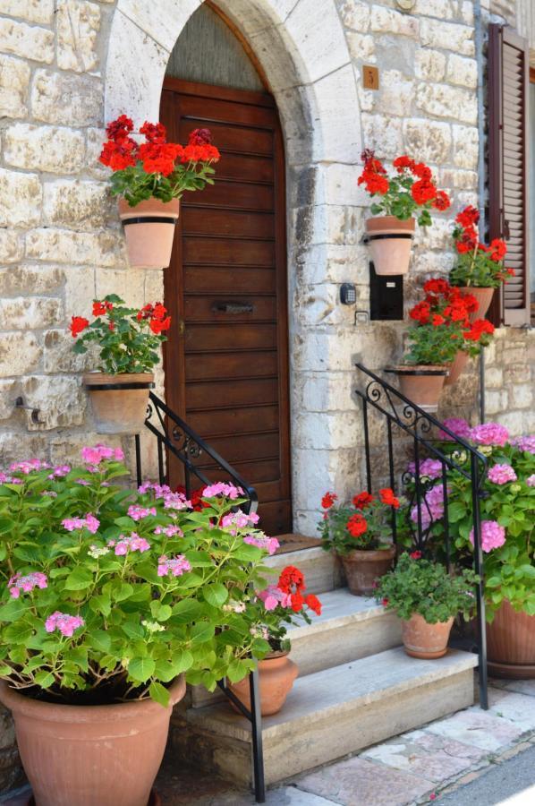 Casa Gentile Apartment Assisi Bagian luar foto